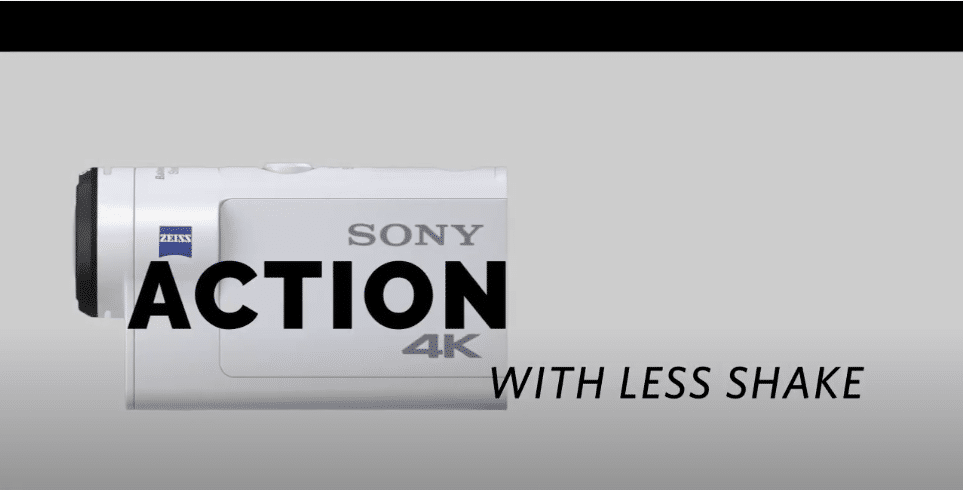 PV-Rinette Dippenaar